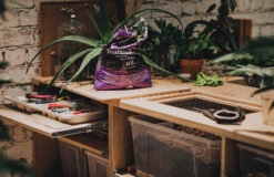 PLANTARIUM <3