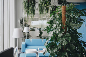 Sisehaljastuse hooldamine kontoris