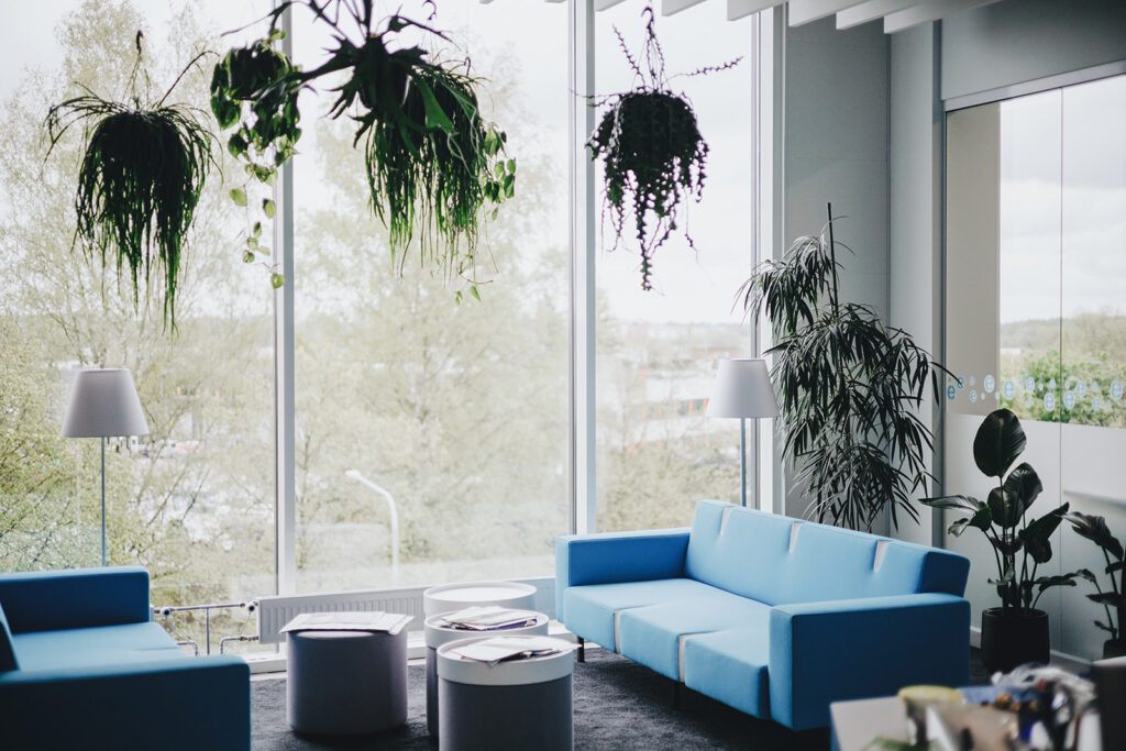 taimede valimine kontorisse