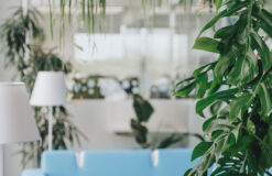PLANTARIUM <3