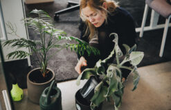 PLANTARIUM <3