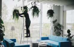 PLANTARIUM <3